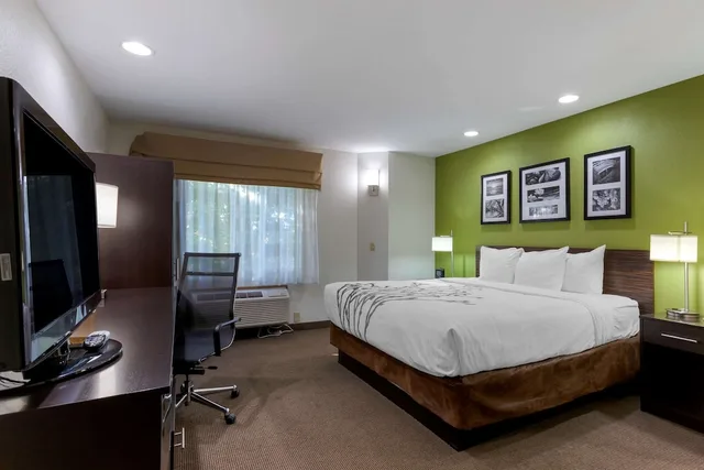 غرفة قياسية بسرير كينج، Sleep Inn Ontario 1/6