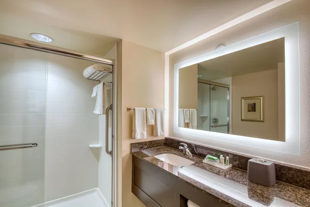 غرفة قياسية بسرير فردي لذوي الإعاقة، Holiday Inn Hotel Suites Atlanta Airport North 4/4