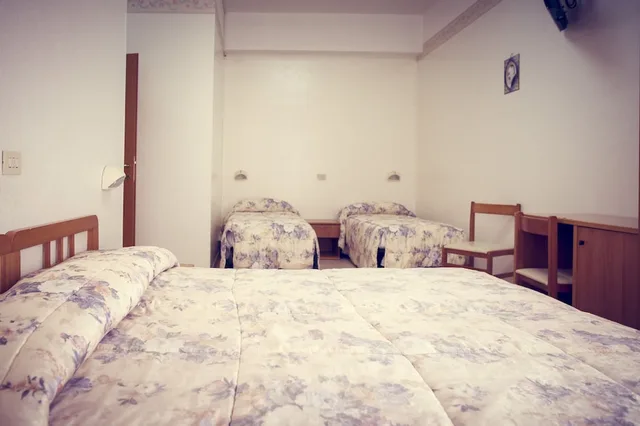 غرفة اقتصادية بسرير مزدوج أو سريرين منفصلين، Hotel Fini 1/10