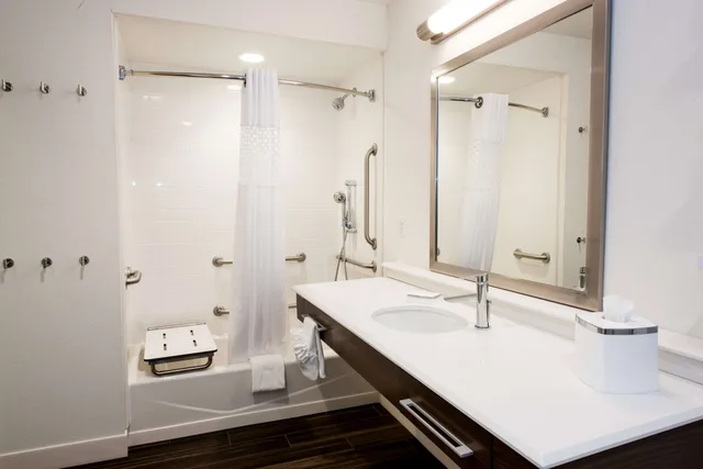 غرفة بسرير كينج مع أريكة بحوض استحمام لذوي الإعاقة، Hampton Inn Albany-Western Ave/University Area 3/4