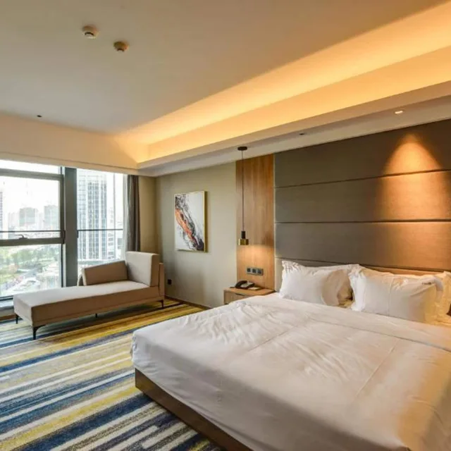 Standard, Double Bed, Holiday Inn Nantong Oasis International 1/10
