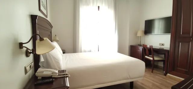 غرفة أساسية مفردة بسرير مزدوج، Hotel Sercotel Palacio de Los Gamboa 2/4