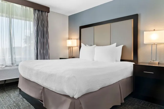 جناح بسرير كينج مع أريكة، Best Western Plus Flint Airport Inn & Suites 1/2