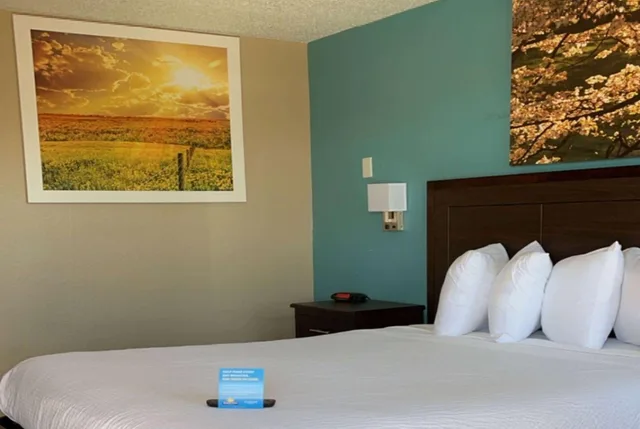 غرفة بسرير كوين للمدخنين لذوي الإعاقة، Economy Suites Springfield - I-44 1/2