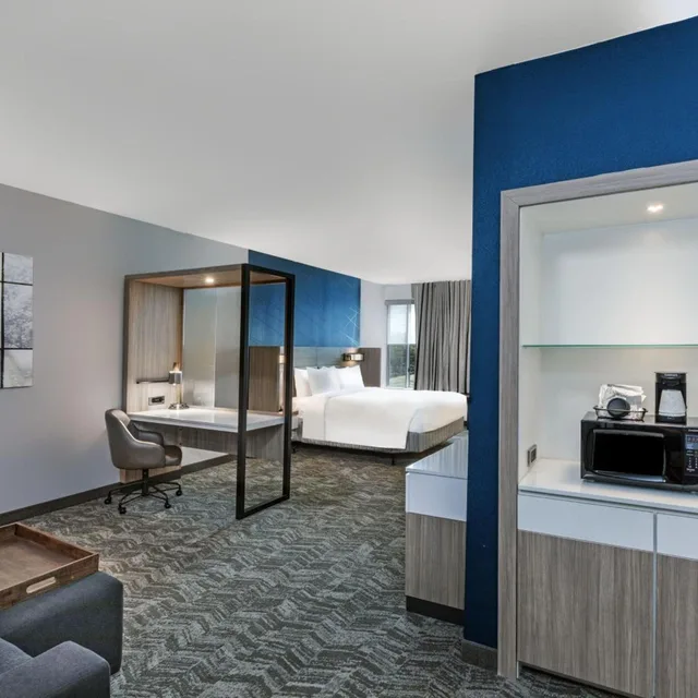 Suite, King Bed, Trundle Bed, Landscape View, Sofa، SpringHill Suites by Marriott Austin West/Lakeway 6/6