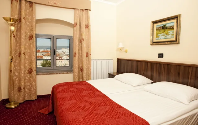 غرفة قياسية بسرير مزدوج أو سريرين منفصلين، Hotel Continental 1/10