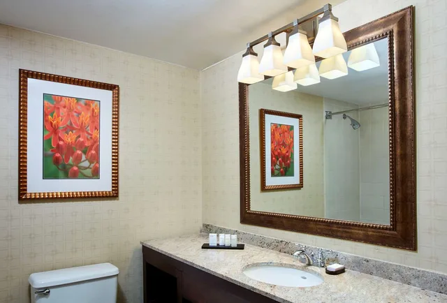 جناح بريميوم بسريرين مزدوجين بغرفة نوم واحدة، Embassy Suites By Hilton Parsippany 3/4
