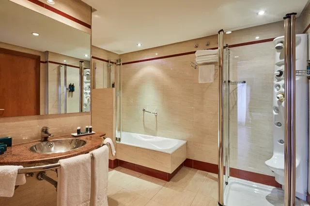 Junior Suite, Single, SILKEN MONUMENTAL NARANCO 9/9