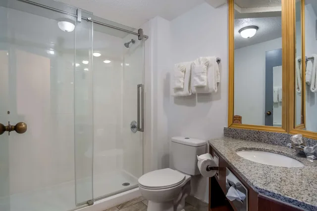 غرفة بسرير كينج، Clarion Inn and Suites Grand Rapids Airport 4/4