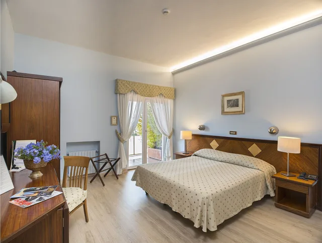 Standard, Single, King Bed, Cacciani Hotel 1/5