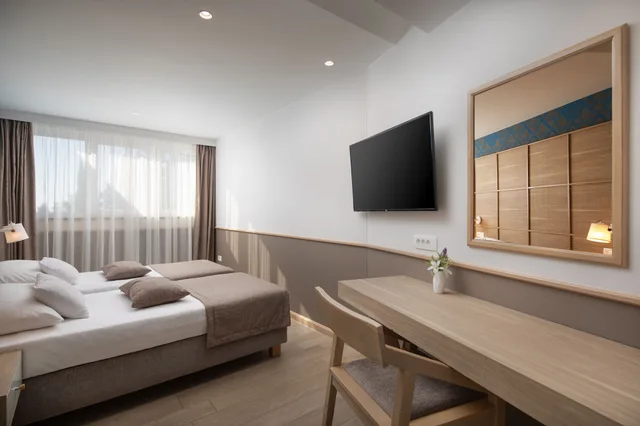 شقة ديلوكس بسرير كينج وسريرين منفصلين بإطلالة على البحر بشرفة مع أريكة، APARTHOTEL TAMARIS 2/5