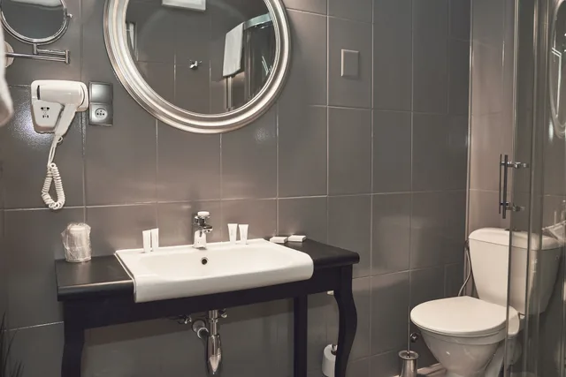 Deluxe, Queen Bed, Hotel Fortuna Bis 7/10