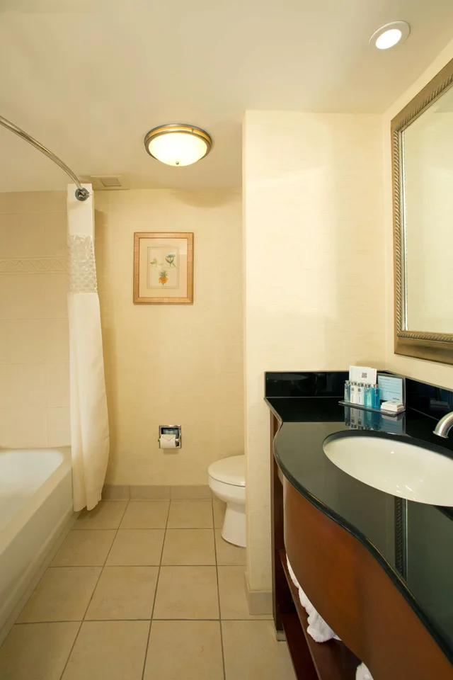 استوديو، Hampton Inn Alexandria/Pentagon South 1/1