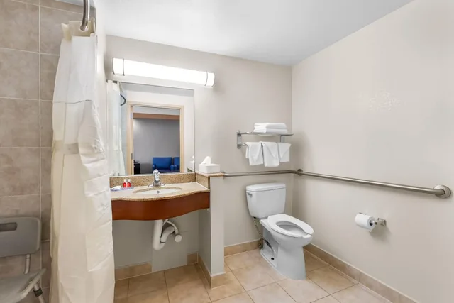 غرفة بسرير كينج لذوي الإعاقة، Econo Lodge Woodbridge 6/6