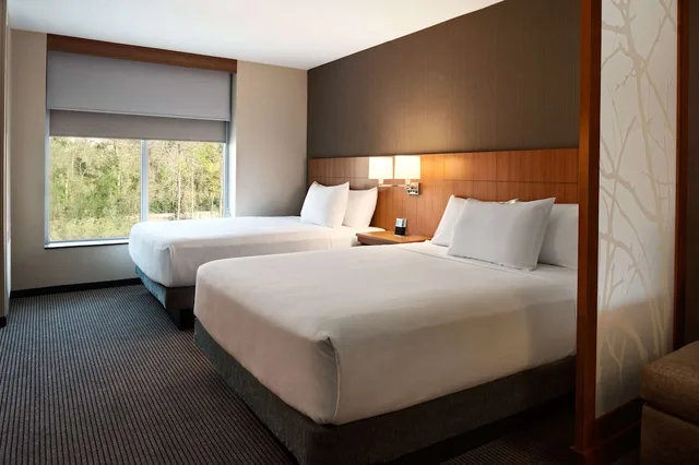 غرفة ديلوكس بسريرين كوين مع أريكة، Hyatt Place Houston / The Woodlands 1/10