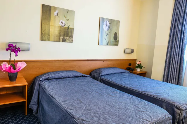 غرفة بسرير مزدوج، HOTEL GALLIA 1/10