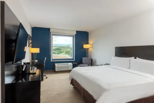 Standard, King Bed, Extra Floor Space، Holiday Inn Express Managua 1/10