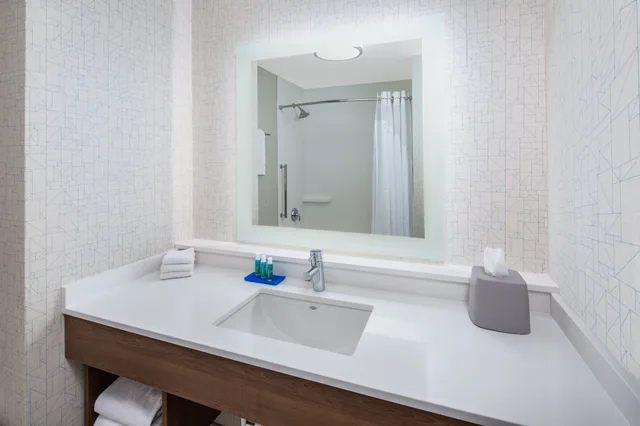 غرفة قياسية بسرير كينج لذوي الإعاقة، Holiday Inn Express Hotel And Suites Ontario Airport 3/5