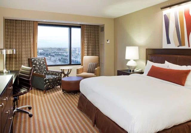 جناح ديلوكس مع أريكة لذوي الإعاقة، HILTON OMAHA 2/3