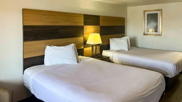Standard, 2 Queen Beds, Accessible, Motel6 Cross Lanes, WV–Goff Mountain Rd 2/10