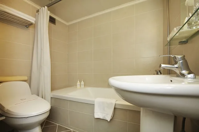 Standard, Twin Beds, No Parking، Savoy Hotel Seoul Myeongdong 8/10