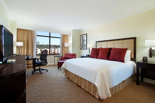 Classic, King Bed, Accessible, Hilton Richmond Hotel & Spa/Short Pump 3/8