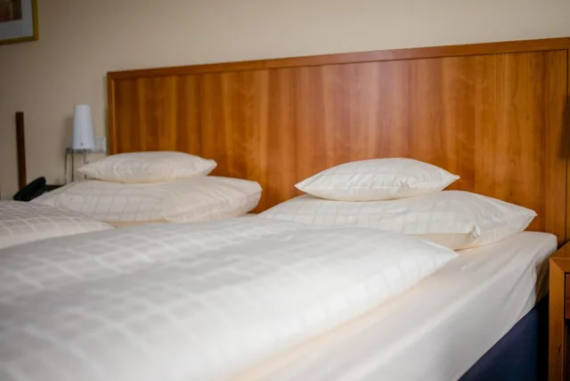 غرفة كومفورت بسرير مزدوج بإطلالة على البحيرة، Seehotel Niedernberg - Das Dorf am See 5/5