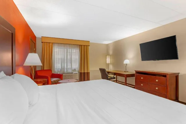 Efficiency, King Bed، Clarion Hotel & Conference Center Lansing West 2/4