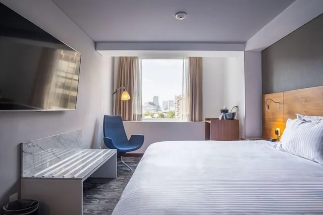 جناح ديلوكس بسرير كينج، Hilton Garden Inn Mexico City Polanco 2/4