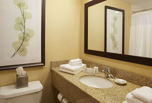 غرفة بسريرين مزدوجين لذوي الإعاقة، Courtyard by Marriott Buffalo Amherst/University 5/5