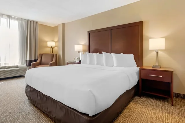 غرفة قياسية مفردة بسرير كينج مع أريكة في الطابق العلوي، Comfort Inn MSP Airport - Mall Of America 4/10