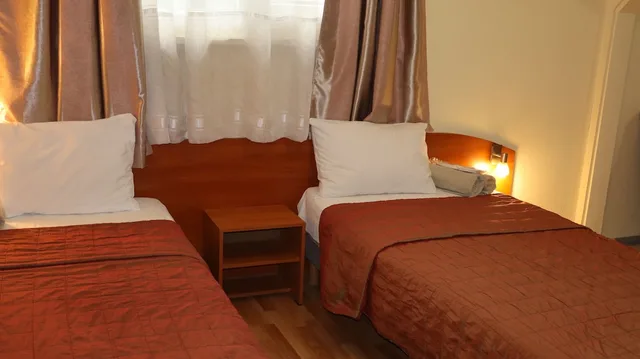 Standard, Twin Beds, Palitra Family Hotel 3/3