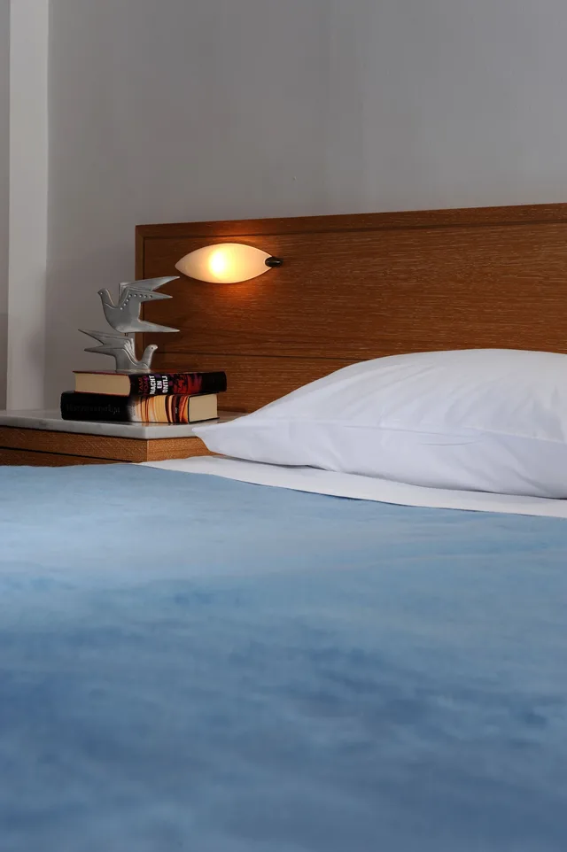 بنغل بسرير مزدوج، Hotel Delfinia 6/8