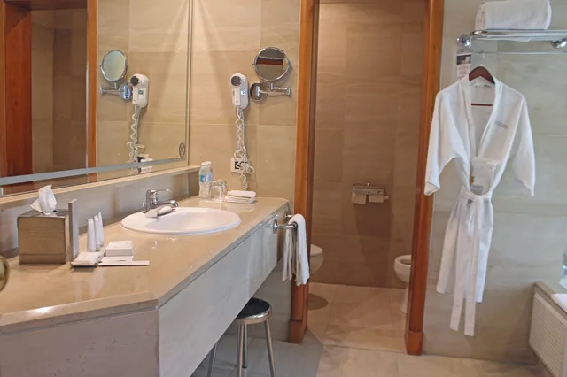 Suite, Triple, King Bed, Ocean View, Catalonia Santo Domingo 5/5