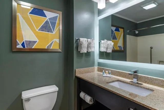 Suite, Queen Bed, Comfort Inn Suites At Stone Mountain 5/6
