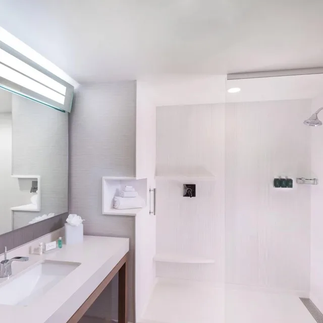 غرفة بسرير كينج مع أريكة بحوض استحمام لذوي الإعاقة، Courtyard By Marriott Baton Rouge Downtown 4/4