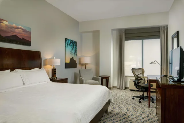 جناح بسرير كينج بجاكوزي لذوي الإعاقة، Hilton Garden Inn Phoenix Airport North 1/3