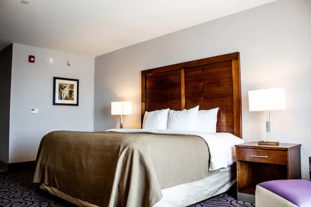 غرفة قياسية بسرير كينج، Comfort Inn & Suites Lovington, NM 3/6