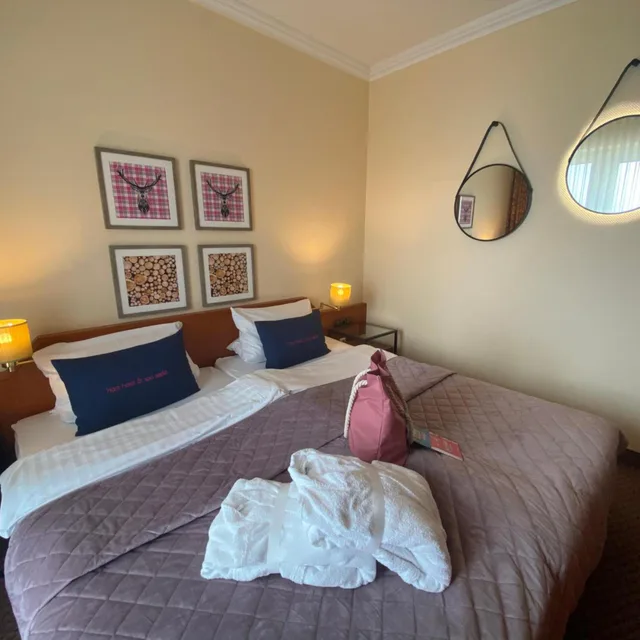 Relax, Harz, Apartment, King Bed، Harz Hotel & Spa Seela 2/2