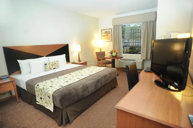غرفة قياسية بسرير كينج لذوي الإعاقة، Sleep Inn Hotel Paseo Las Damas 2/5