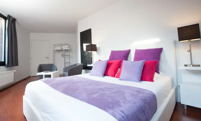 غرفة سوبيريور بسرير مزدوج، Esplanade Lille 2/5