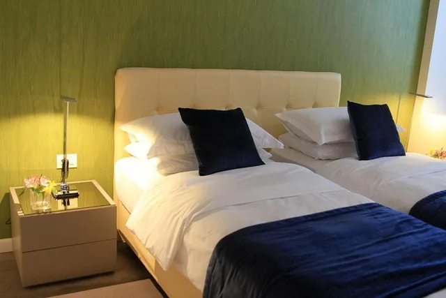 غرفة قياسية مفردة، Best Western Premier Ark Hotel 1/1