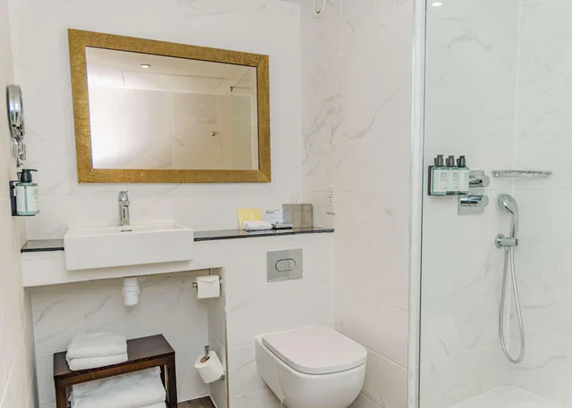 غرفة بسرير مزدوج بإطلالة، Doubletree By Hilton London Excel 4/6