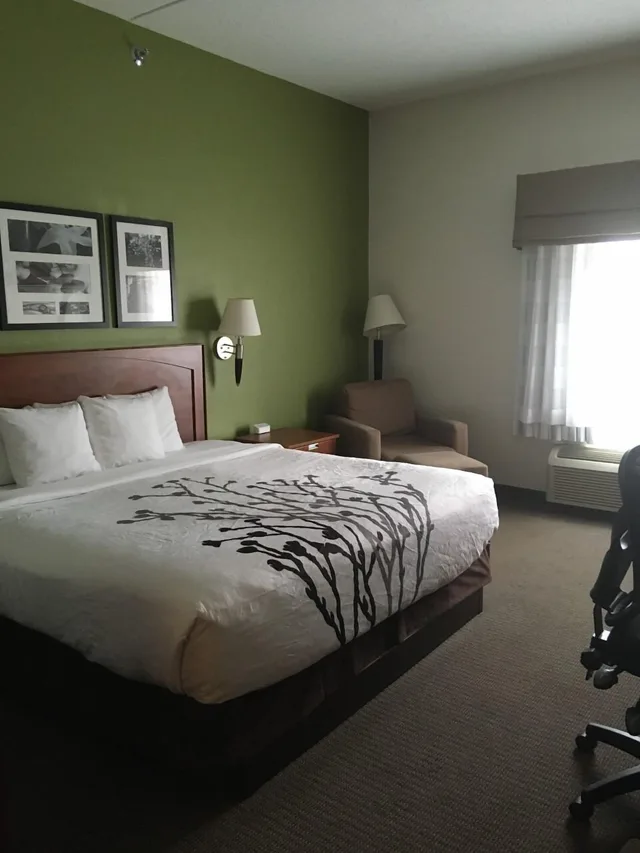 Standard, King Bed, Sleep Inn and Suites Conference Center And Water Park 2/7