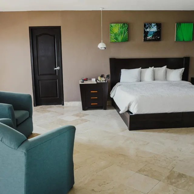جناح سوبيريور بسرير كينج بشرفة بغرفة نوم واحدة، Hilton Garden Inn Boca Del Rio Veracruz 2/6