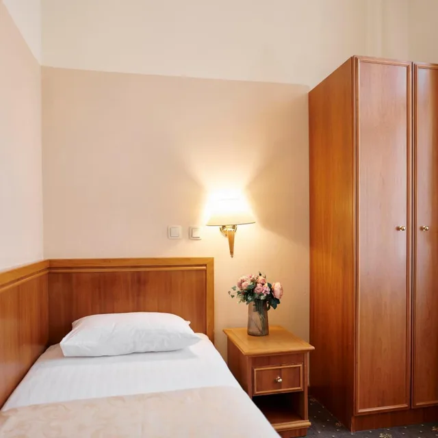 Room, Single, Street View، Hotel Lovran 2/16