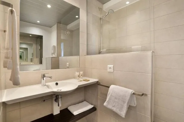 غرفة كلاسيكية بسرير مزدوج أو سريرين منفصلين، Hotel D Alsace 8/8