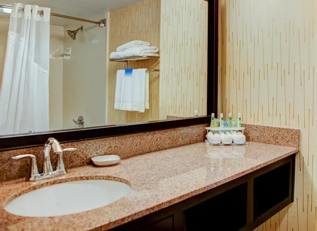 غرفة رباعية بسريرين كوين، Country Inn & Suites by Radisson, Tyler University Area 3/3