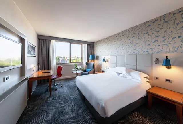 غرفة متصلة ديلوكس بسرير كينج وسرير فردي، Hilton Strasbourg Hotel 1/5