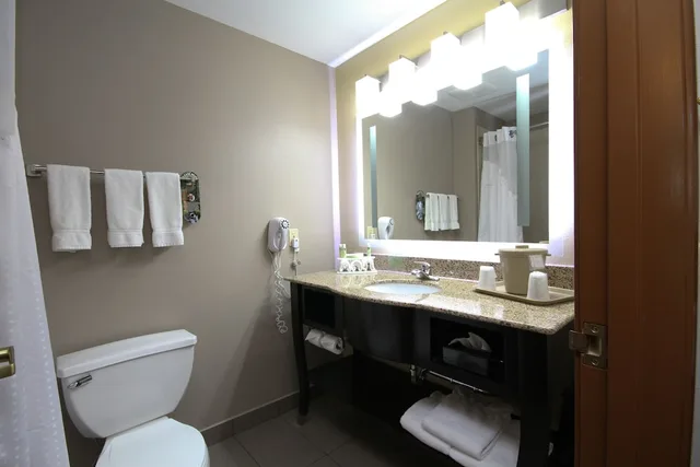 Suite, Queen Bed, Jetted Tub, Holiday Inn Express Marshall 1/1